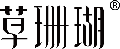DƬ